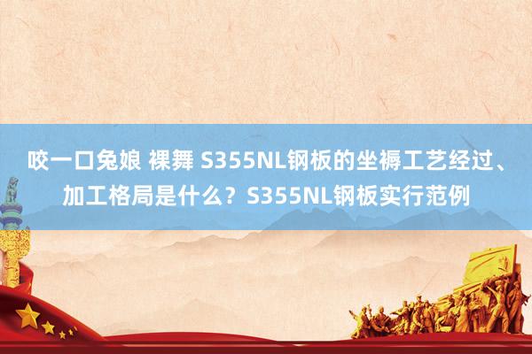 咬一口兔娘 裸舞 S355NL钢板的坐褥工艺经过、加工格局是什么？S355NL钢板实行范例