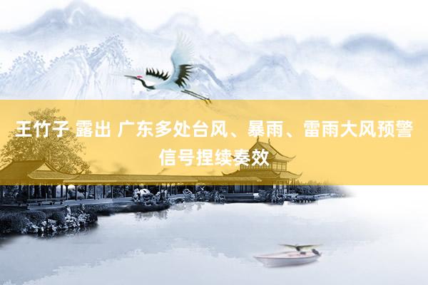 王竹子 露出 广东多处台风、暴雨、雷雨大风预警信号捏续奏效