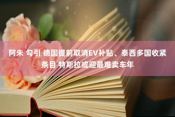 阿朱 勾引 德国提前取消EV补贴、泰西多国收紧条目 特斯拉或迎最难卖车年