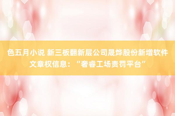 色五月小说 新三板翻新层公司晟烨股份新增软件文章权信息：“奢睿工场责罚平台”