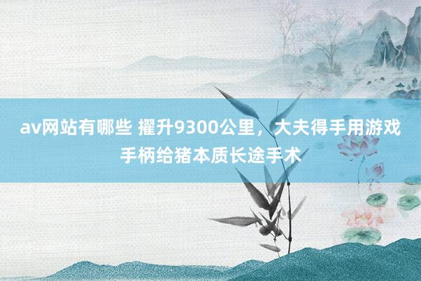 av网站有哪些 擢升9300公里，大夫得手用游戏手柄给猪本质长途手术