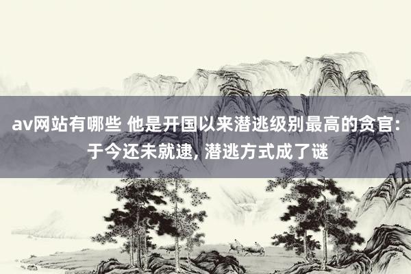 av网站有哪些 他是开国以来潜逃级别最高的贪官: 于今还未就逮， 潜逃方式成了谜