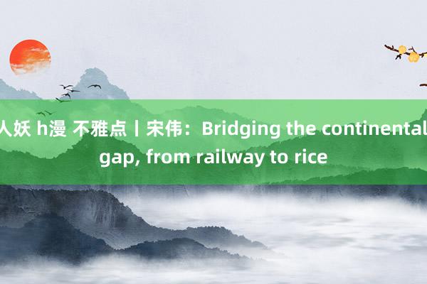 人妖 h漫 不雅点丨宋伟：Bridging the continental gap， from railway to rice