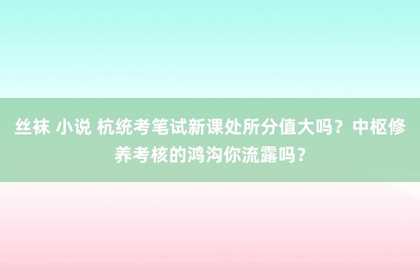 丝袜 小说 杭统考笔试新课处所分值大吗？中枢修养考核的鸿沟你流露吗？