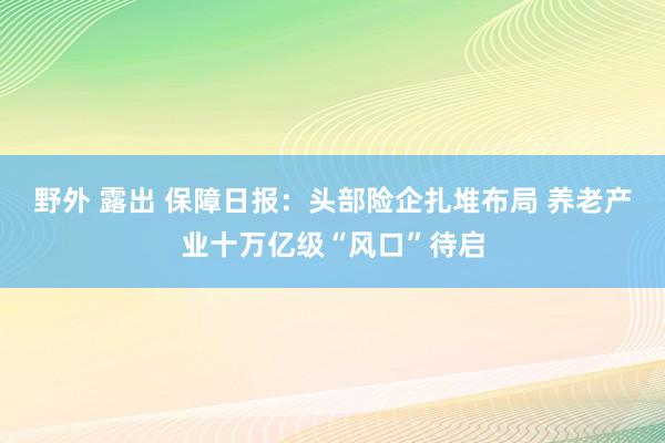 野外 露出 保障日报：头部险企扎堆布局 养老产业十万亿级“风口”待启