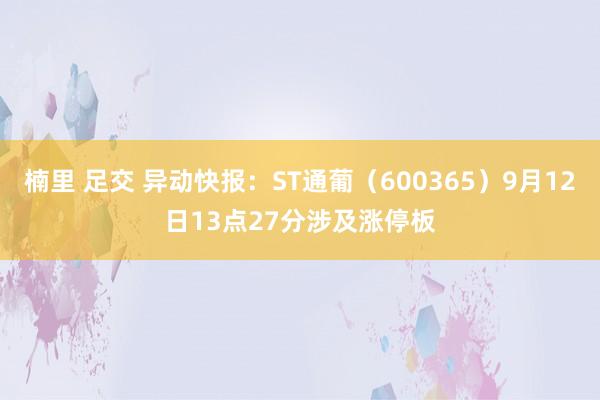 楠里 足交 异动快报：ST通葡（600365）9月12日13点27分涉及涨停板