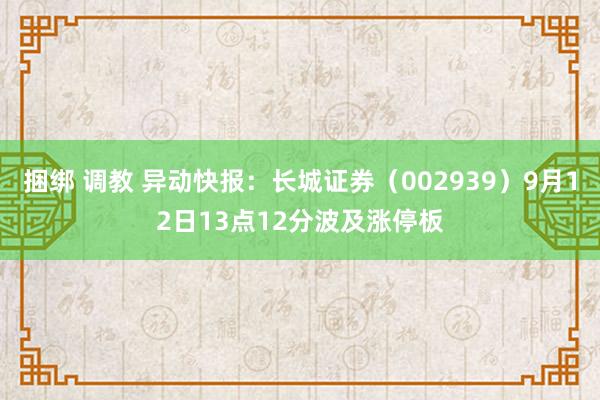 捆绑 调教 异动快报：长城证券（002939）9月12日13点12分波及涨停板