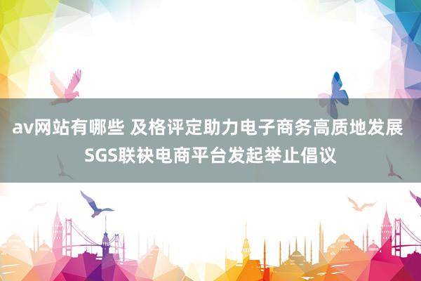 av网站有哪些 及格评定助力电子商务高质地发展 SGS联袂电商平台发起举止倡议