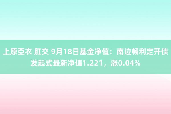 上原亞衣 肛交 9月18日基金净值：南边畅利定开债发起式最新净值1.221，涨0.04%