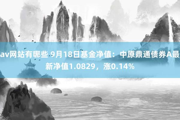 av网站有哪些 9月18日基金净值：中原鼎通债券A最新净值1.0829，涨0.14%