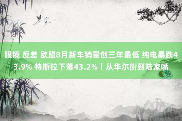 眼镜 反差 欧盟8月新车销量创三年最低 纯电暴跌43.9% 特斯拉下落43.2%丨从华尔街到陆家嘴