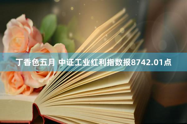 丁香色五月 中证工业红利指数报8742.01点