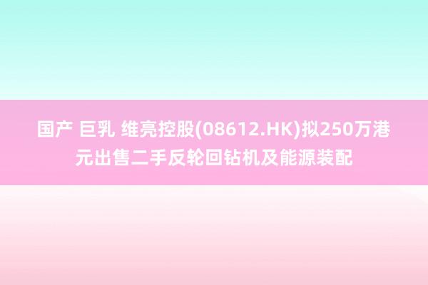 国产 巨乳 维亮控股(08612.HK)拟250万港元出售二手反轮回钻机及能源装配