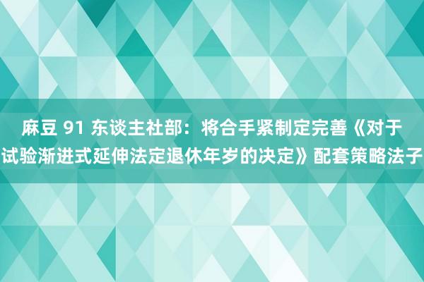 麻豆 91 东谈主社部：将合手紧制定完善《对于试验渐进式延伸法定退休年岁的决定》配套策略法子