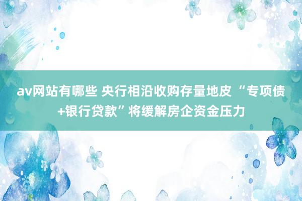 av网站有哪些 央行相沿收购存量地皮 “专项债+银行贷款”将缓解房企资金压力