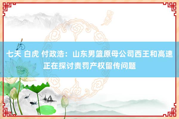 七天 白虎 付政浩：山东男篮原母公司西王和高速正在探讨责罚产权留传问题