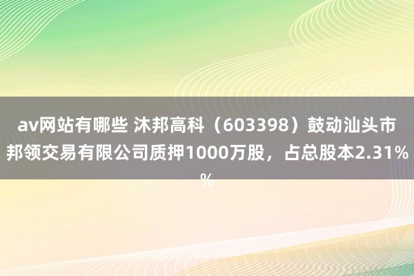 av网站有哪些 沐邦高科（603398）鼓动汕头市邦领交易有限公司质押1000万股，占总股本2.31%