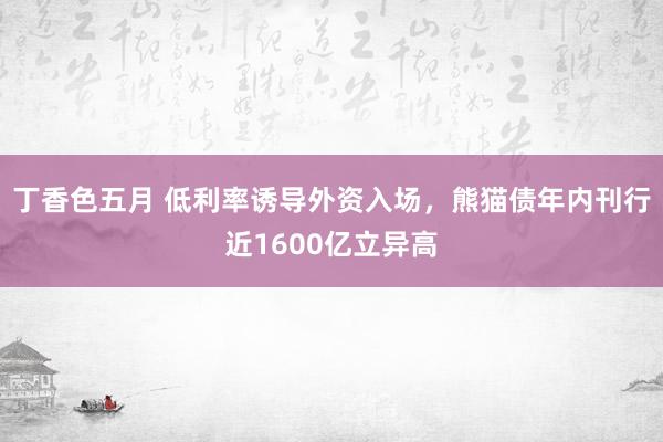 丁香色五月 低利率诱导外资入场，熊猫债年内刊行近1600亿立异高