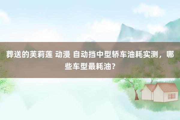 葬送的芙莉莲 动漫 自动挡中型轿车油耗实测，哪些车型最耗油？