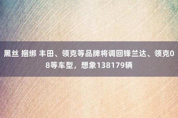 黑丝 捆绑 丰田、领克等品牌将调回锋兰达、领克08等车型，想象138179辆