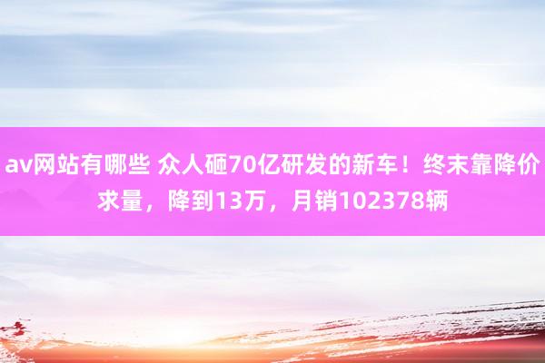 av网站有哪些 众人砸70亿研发的新车！终末靠降价求量，降到13万，月销102378辆