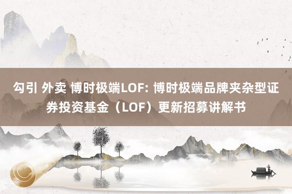 勾引 外卖 博时极端LOF: 博时极端品牌夹杂型证券投资基金（LOF）更新招募讲解书