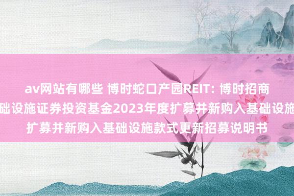 av网站有哪些 博时蛇口产园REIT: 博时招商蛇口产业园阻滞式基础设施证券投资基金2023年度扩募并新购入基础设施款式更新招募说明书