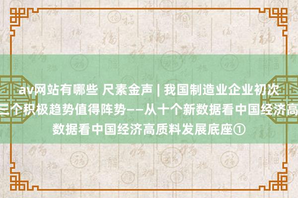 av网站有哪些 尺素金声 | 我国制造业企业初次冲破600万家，三个积极趋势值得阵势——从十个新数据看中国经济高质料发展底座①