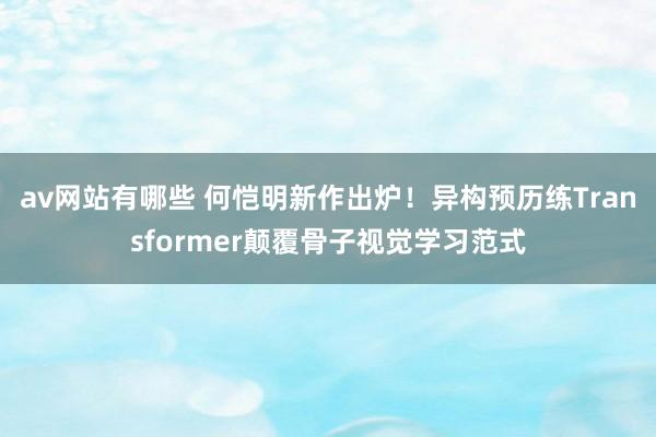 av网站有哪些 何恺明新作出炉！异构预历练Transformer颠覆骨子视觉学习范式