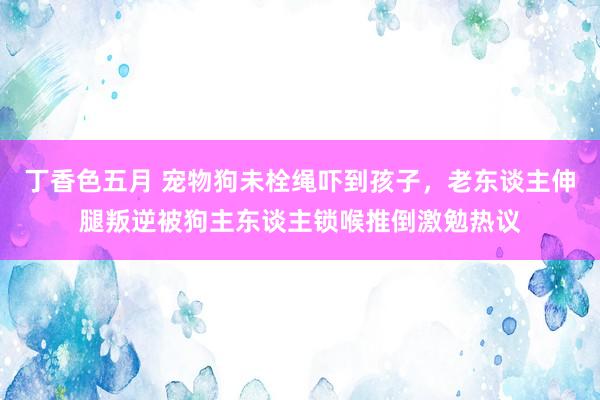 丁香色五月 宠物狗未栓绳吓到孩子，老东谈主伸腿叛逆被狗主东谈主锁喉推倒激勉热议