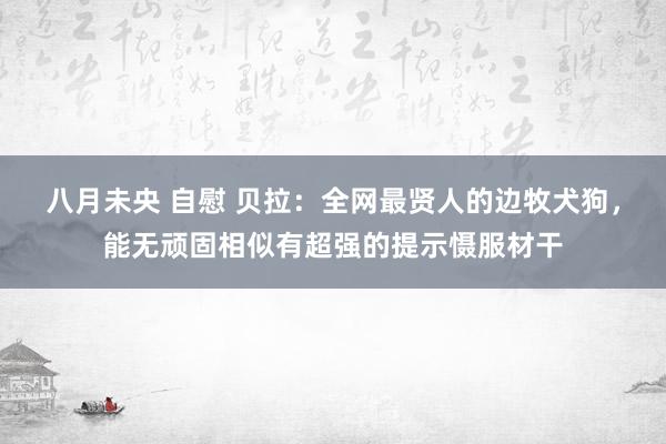 八月未央 自慰 贝拉：全网最贤人的边牧犬狗，能无顽固相似有超强的提示慑服材干