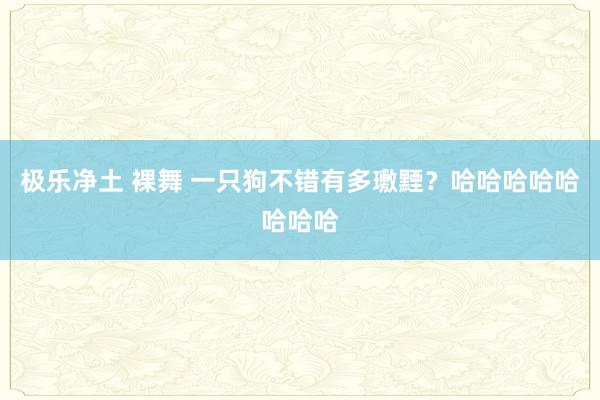 极乐净土 裸舞 一只狗不错有多璷黫？哈哈哈哈哈哈哈哈