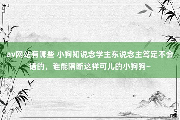 av网站有哪些 小狗知说念学主东说念主笃定不会错的，谁能隔断这样可儿的小狗狗~