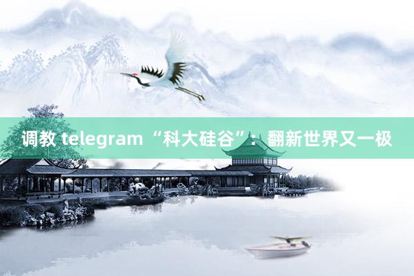 调教 telegram “科大硅谷”：翻新世界又一极