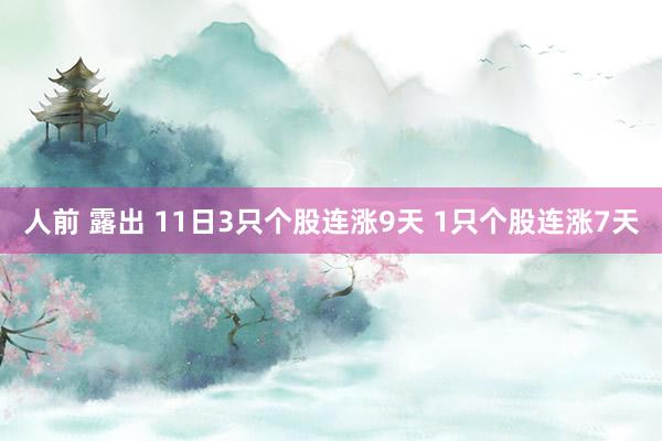 人前 露出 11日3只个股连涨9天 1只个股连涨7天