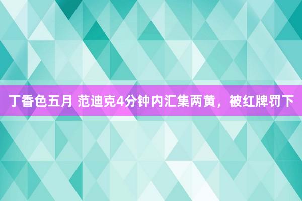 丁香色五月 范迪克4分钟内汇集两黄，被红牌罚下