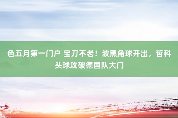 色五月第一门户 宝刀不老！波黑角球开出，哲科头球攻破德国队大门