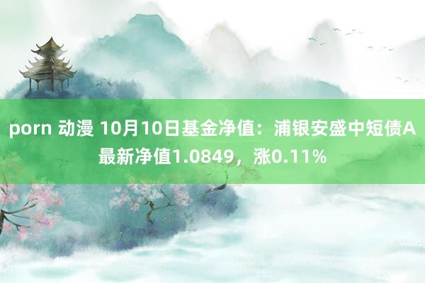 porn 动漫 10月10日基金净值：浦银安盛中短债A最新净值1.0849，涨0.11%