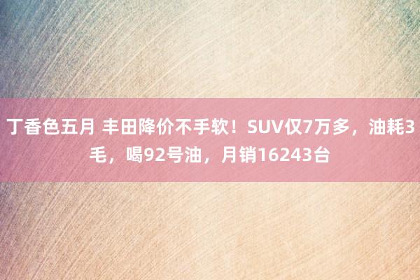 丁香色五月 丰田降价不手软！SUV仅7万多，油耗3毛，喝92号油，月销16243台