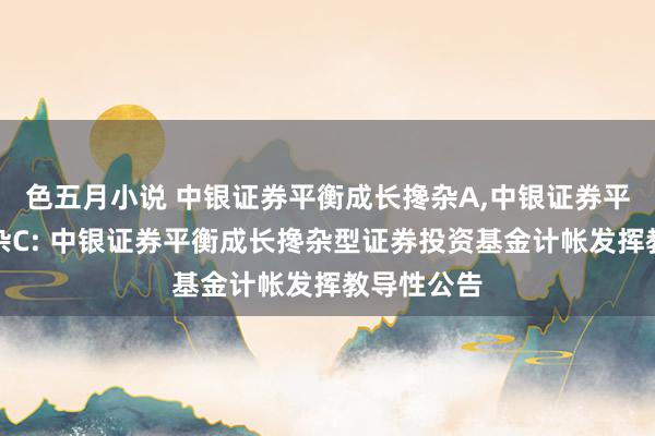 色五月小说 中银证券平衡成长搀杂A，中银证券平衡成长搀杂C: 中银证券平衡成长搀杂型证券投资基金计帐发挥教导性公告