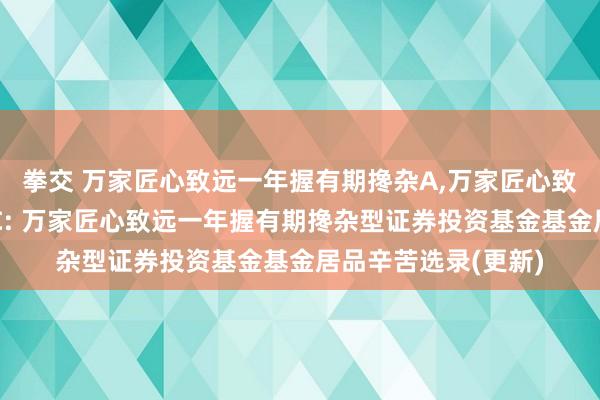 拳交 万家匠心致远一年握有期搀杂A，万家匠心致远一年握有期搀杂C: 万家匠心致远一年握有期搀杂型证券投资基金基金居品辛苦选录(更新)