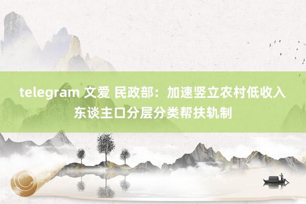 telegram 文爱 民政部：加速竖立农村低收入东谈主口分层分类帮扶轨制