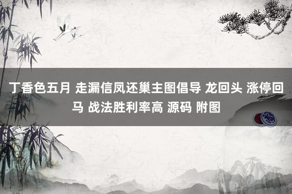 丁香色五月 走漏信凤还巢主图倡导 龙回头 涨停回马 战法胜利率高 源码 附图