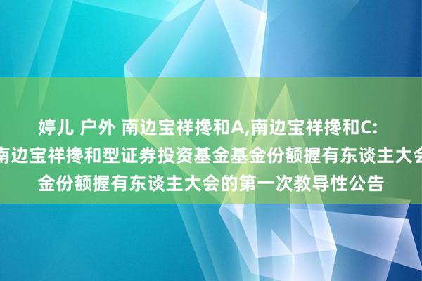 婷儿 户外 南边宝祥搀和A，南边宝祥搀和C: 对于以通信容貌召开南边宝祥搀和型证券投资基金基金份额握有东谈主大会的第一次教导性公告