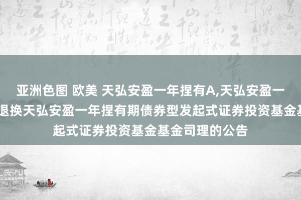 亚洲色图 欧美 天弘安盈一年捏有A，天弘安盈一年捏有C: 对于退换天弘安盈一年捏有期债券型发起式证券投资基金基金司理的公告