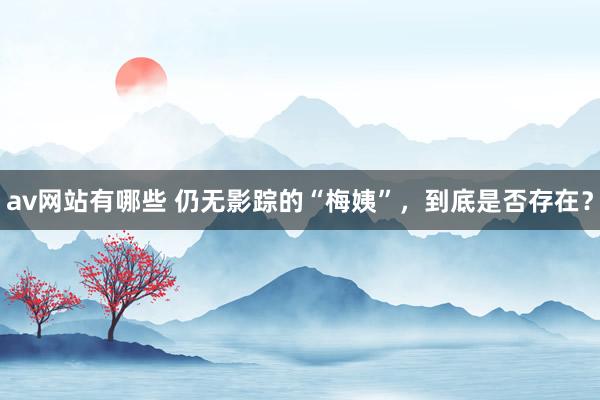 av网站有哪些 仍无影踪的“梅姨”，到底是否存在？