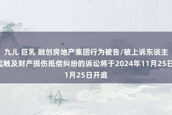 九儿 巨乳 融创房地产集团行为被告/被上诉东谈主的1起触及财产损伤抵偿纠纷的诉讼将于2024年11月25日开庭