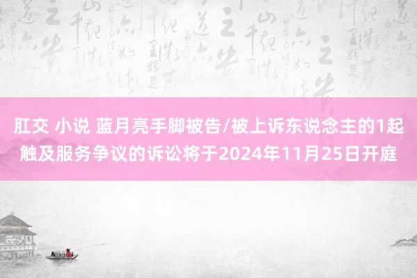 肛交 小说 蓝月亮手脚被告/被上诉东说念主的1起触及服务争议的诉讼将于2024年11月25日开庭