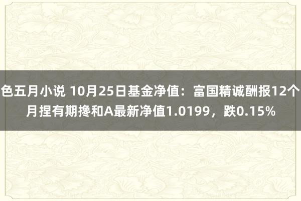 色五月小说 10月25日基金净值：富国精诚酬报12个月捏有期搀和A最新净值1.0199，跌0.15%