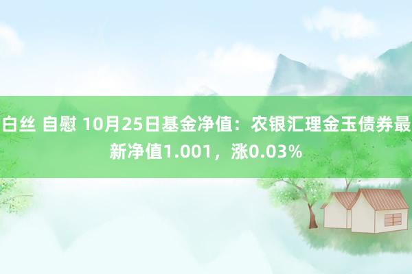 白丝 自慰 10月25日基金净值：农银汇理金玉债券最新净值1.001，涨0.03%